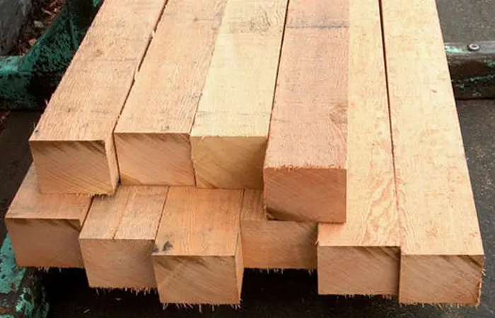 Sal Wood suppliers in Ahmedabad, Gujarat India